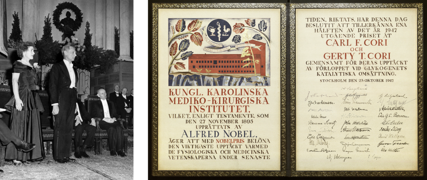 Gerty and Carl Cori attend the 1947 Nobel Prize presentation ceremony (left) and are presented with the Nobel Prize certificate (right) and Nobel Prize medals.